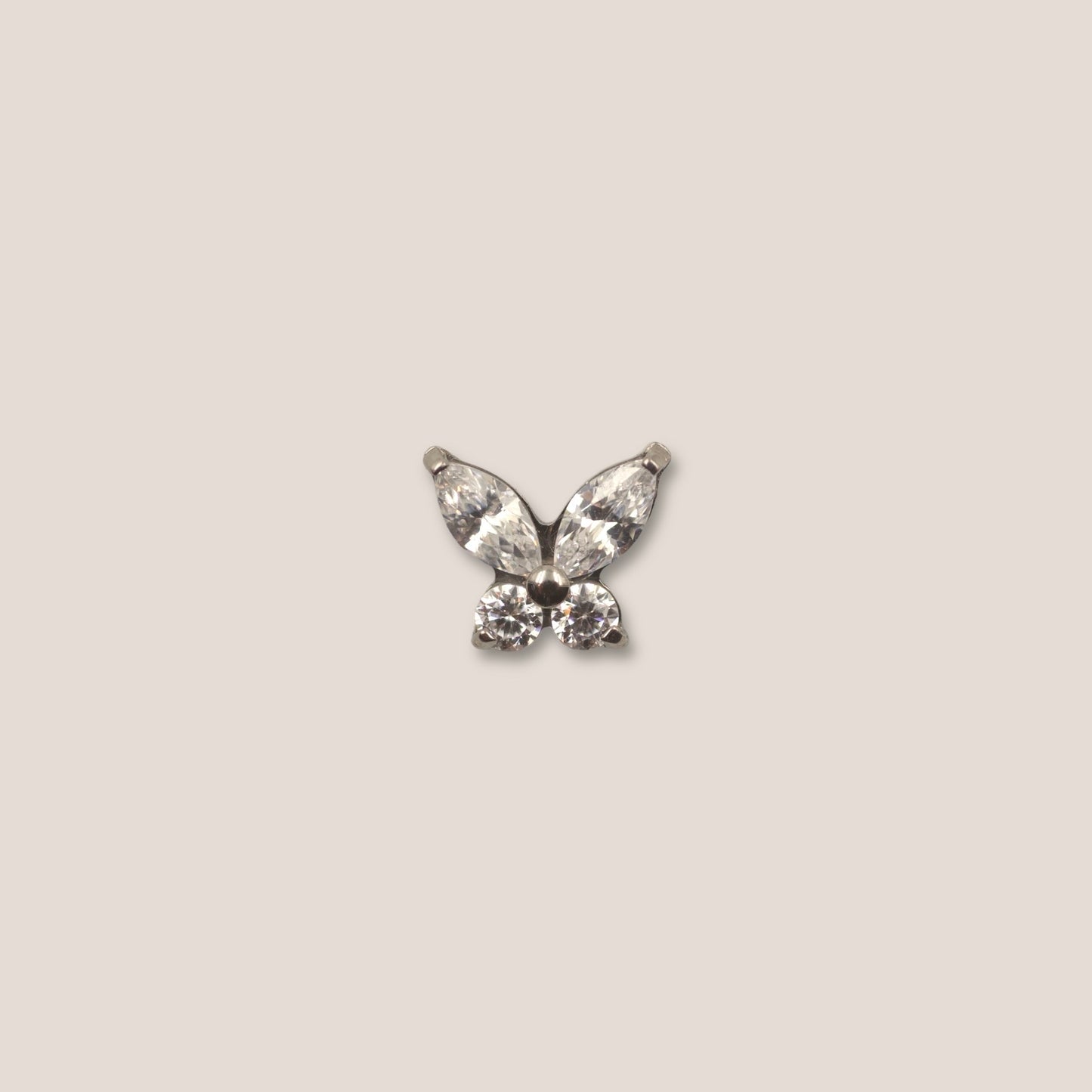Papillon
