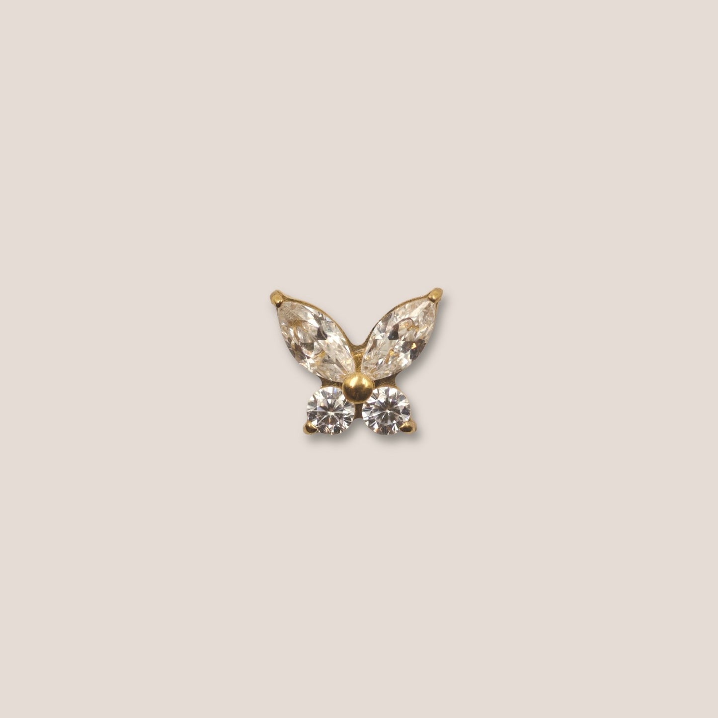 Papillon