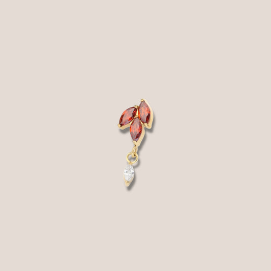 Umy